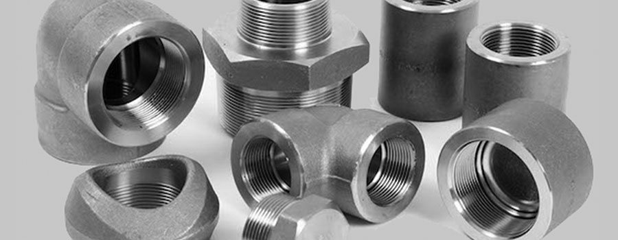 Stainless Steel 304L Forged Fittings