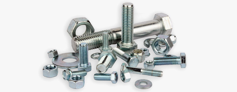 Stainless Steel 310/310S Fasteners