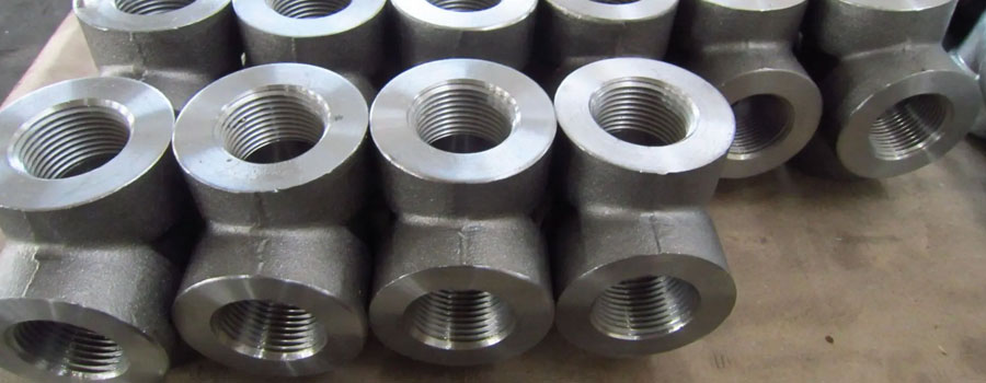 Stainless Steel 316H Forged Fittings