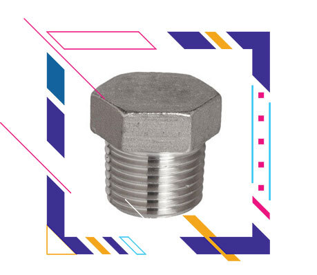 SS 316 Threaded / Screwed Hex Plug