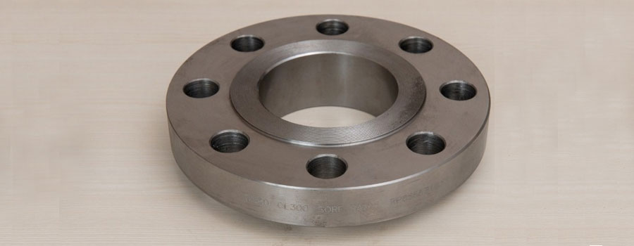 Titanium Gr.2 Flanges